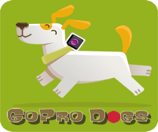 GoPRO Dogs